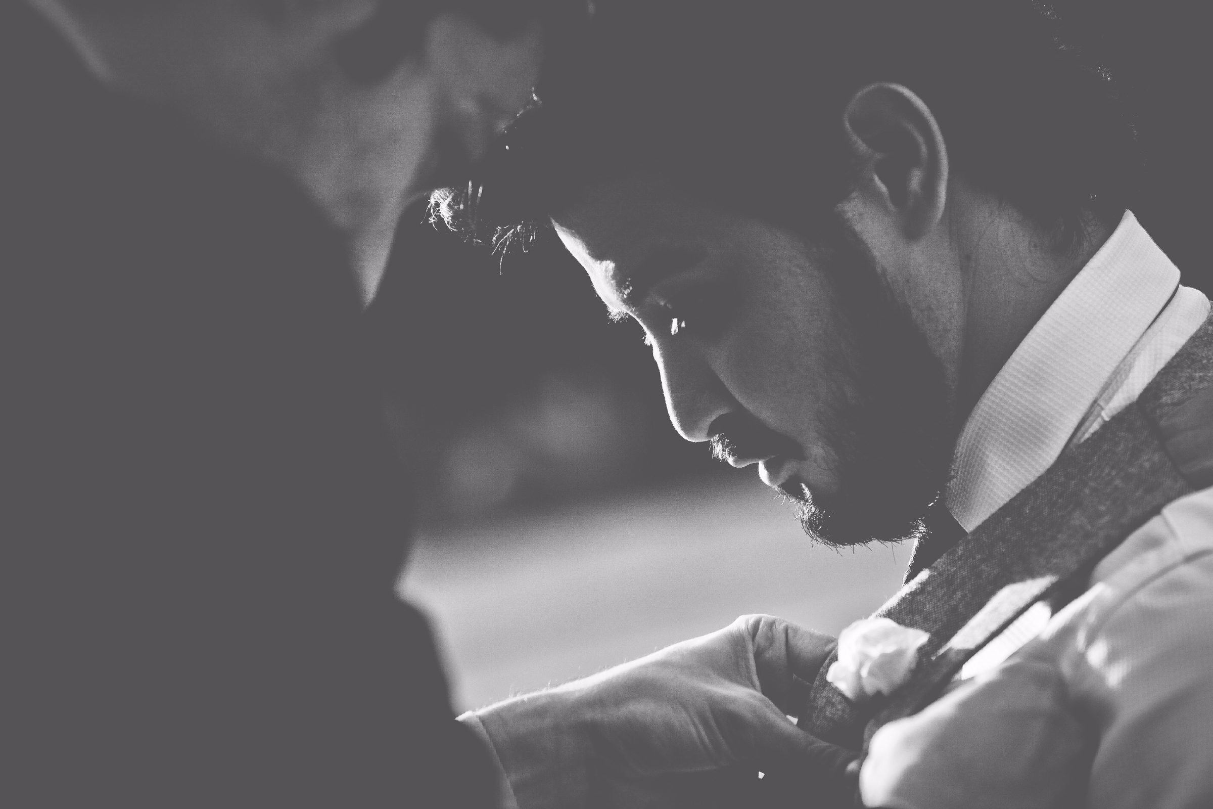 Foto de Wild Mendon&ccedil;a 22