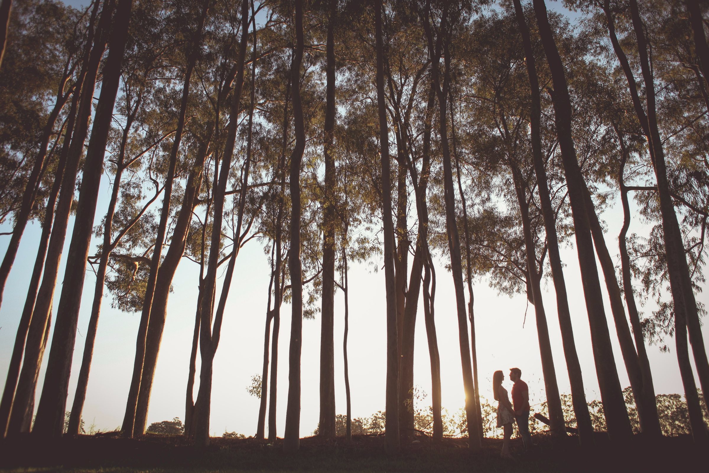 Foto de Wild Mendon&ccedil;a 15