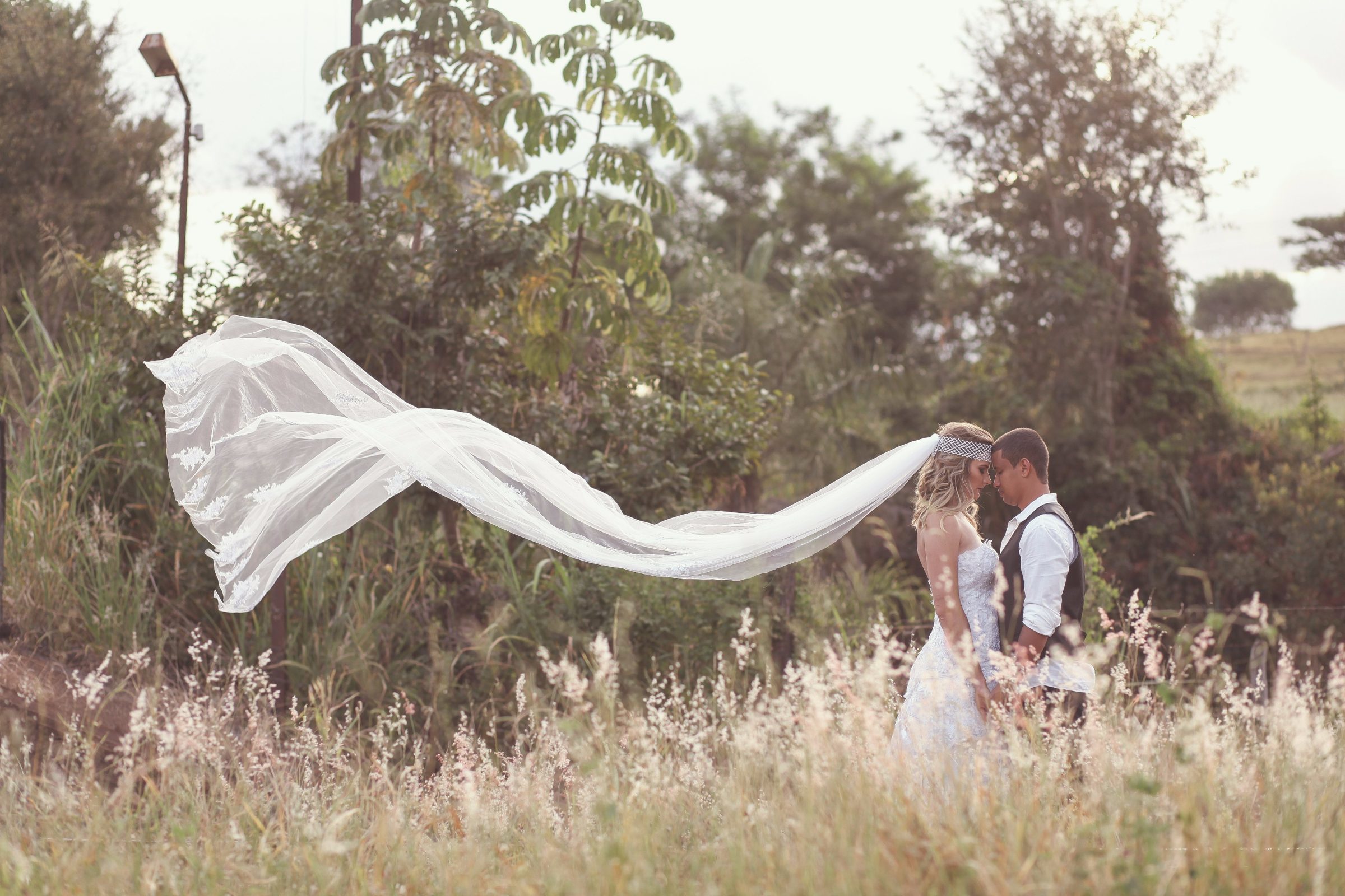 Foto de Wild Mendon&ccedil;a 12