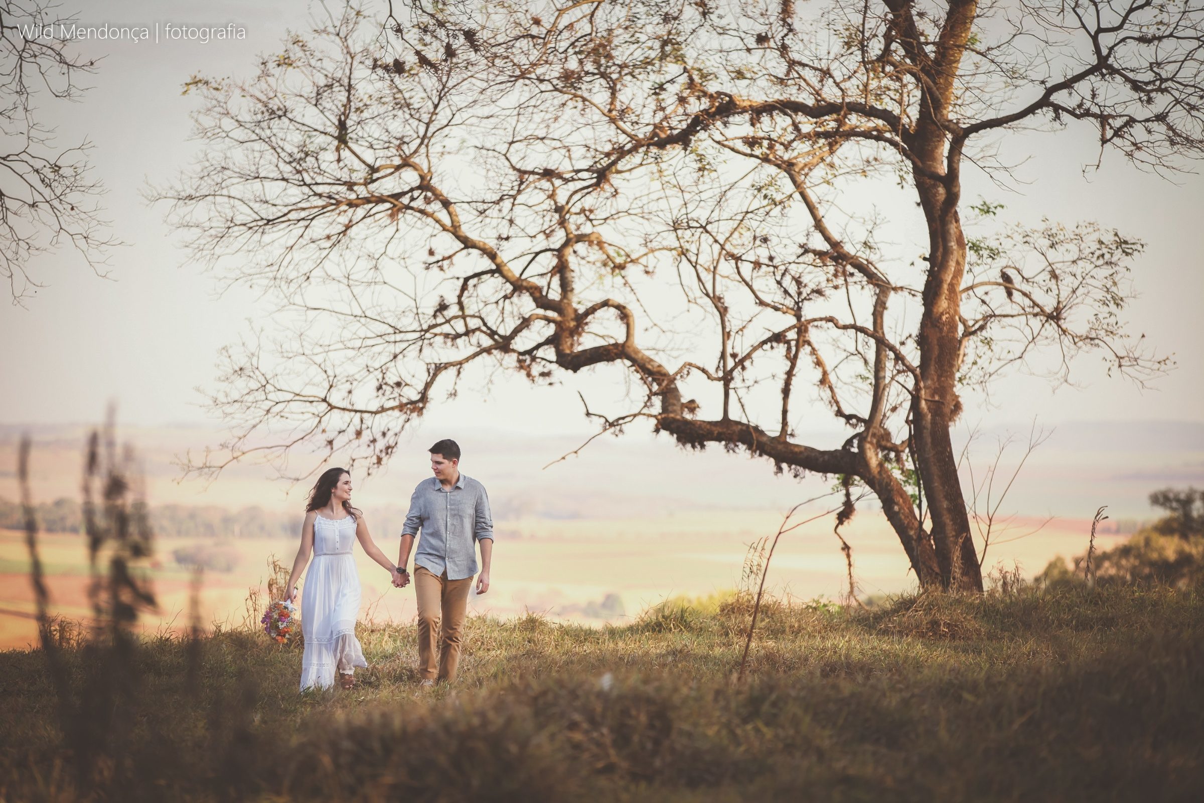 Foto de Wild Mendon&ccedil;a 3